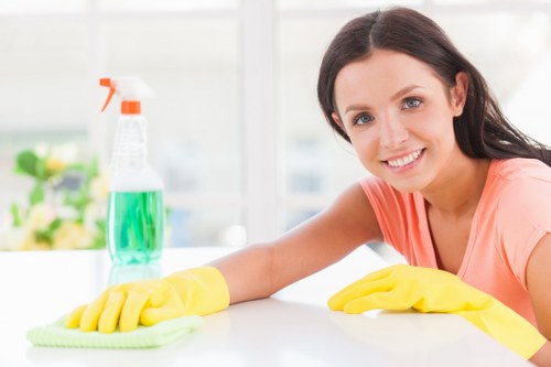 Professional pet stain odour removal in Edgware on a carpeted living room
