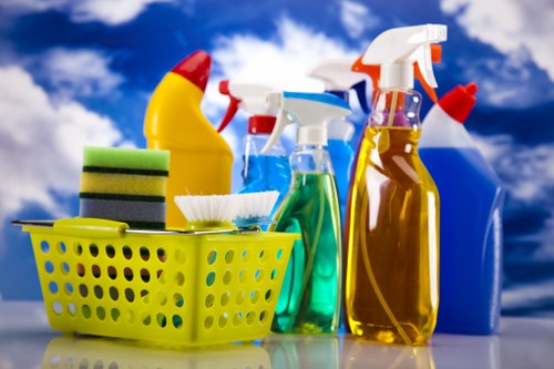 Enzyme cleaning treatment for pet urine stains in an Edgware home