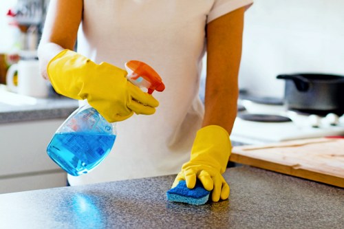Professional steam carpet cleaning in an Edgware home