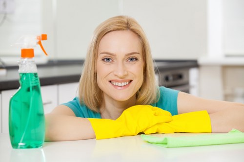 Carpet stain cleaning process in an Edgware property