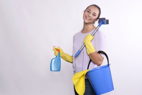 Technician reviewing risk factors and safe access before cleaning