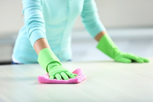 Carpet cleaner completing a risk assessment before starting work