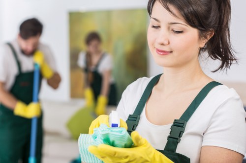Specialist pet stain odour removal service using deep extraction equipment